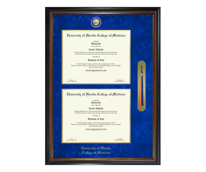 University of Florida College of Medicine Diploma Frame (DSNT)
