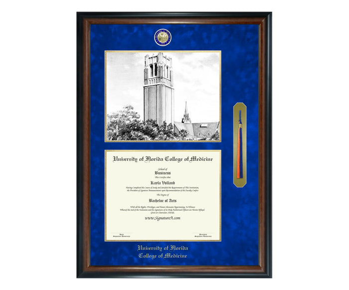 University of Florida College of Medicine Diploma Frame (SNTL)
