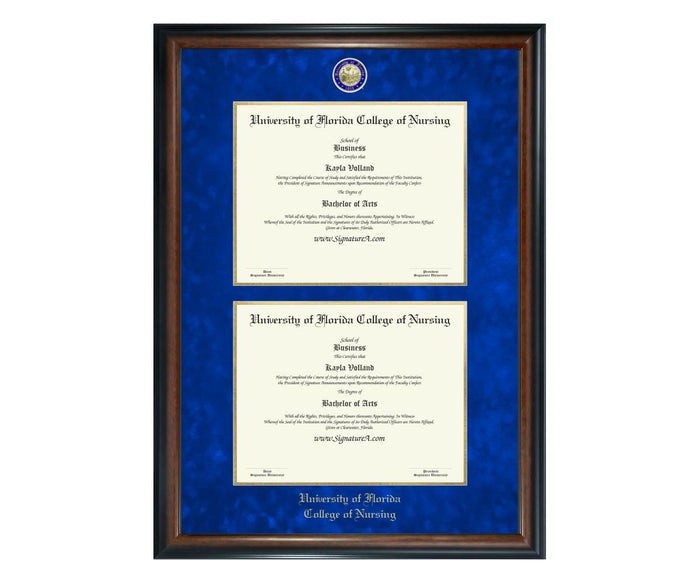 University of Florida College of Nursing Diploma Frame (DSN)