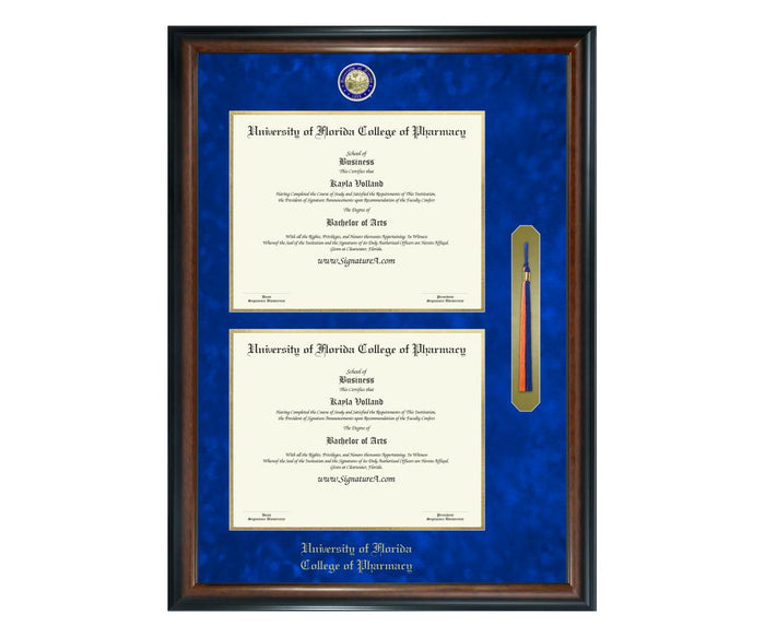 University of Florida College of Pharmacy Diploma Frame (DSNT)