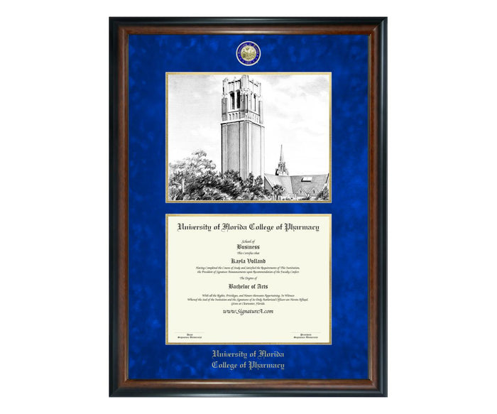 University of Florida College of Pharmacy Diploma Frame (SNL)
