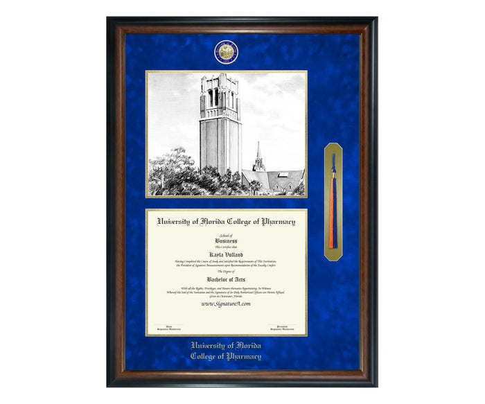 University of Florida College of Pharmacy Diploma Frame (SNTL)