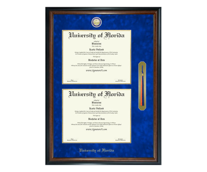 University of Florida Diploma Frame (DSNT)