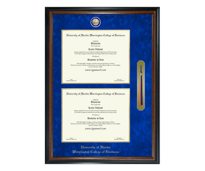 University of Florida Warrington College of Business Diploma Frame (DSNT)