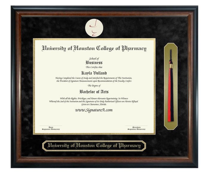 University of Houston College of Pharmacy Diploma Frame (SNT)