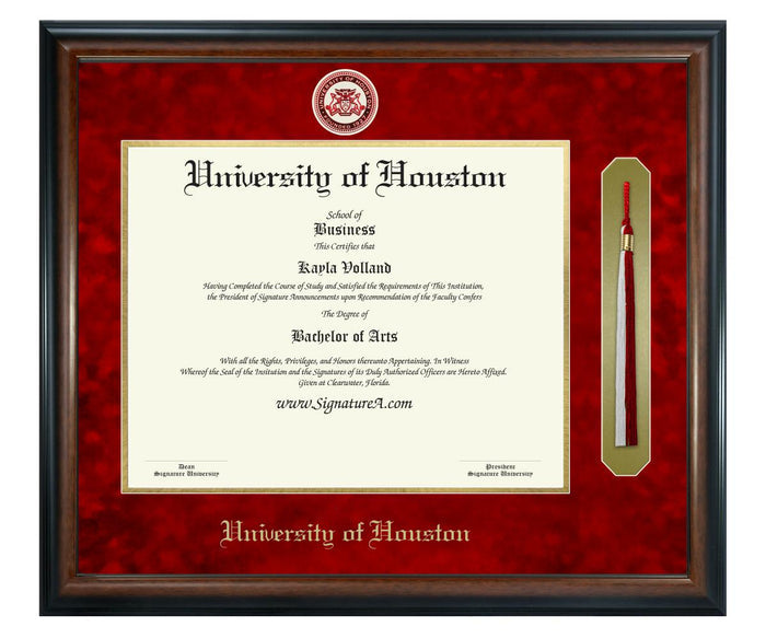 University of Houston Diploma Frame (SNT)
