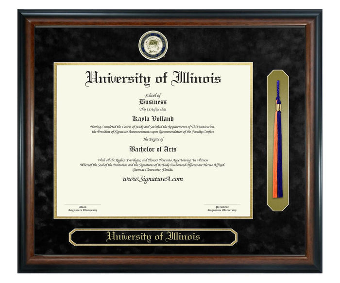 University of Illinois Diploma Frame (SNT)