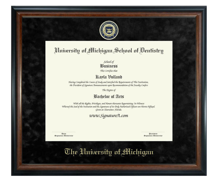 University of Michigan School of Dentistry Diploma Frame (SN)