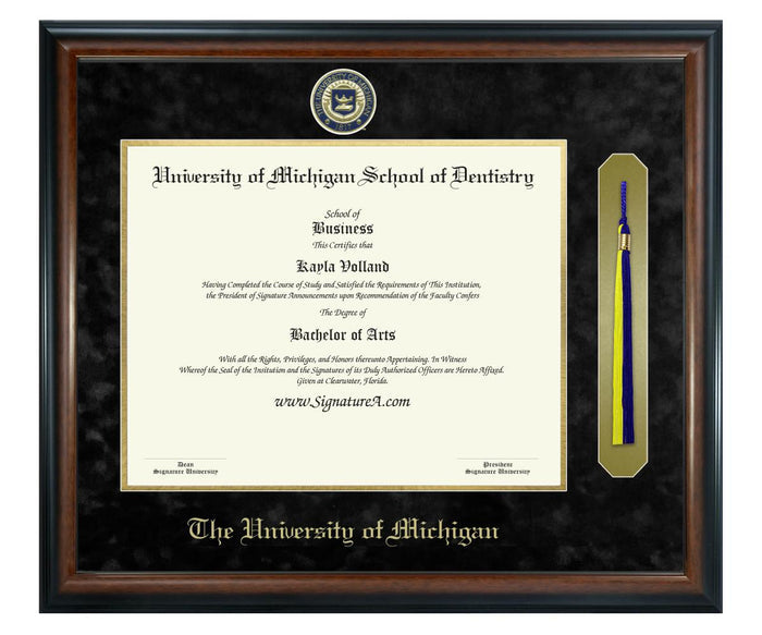 University of Michigan School of Dentistry Diploma Frame (SNT)