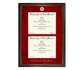 University of New Mexico Diploma Frame (DSN)