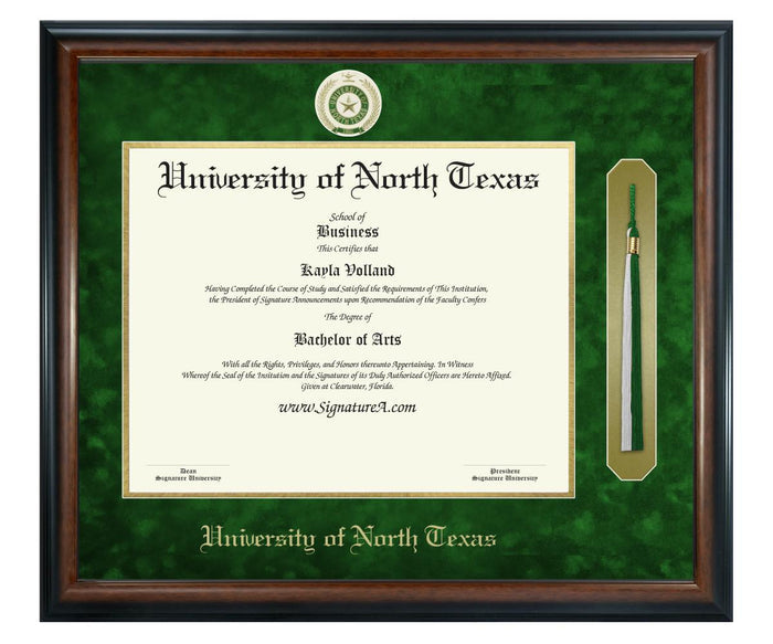 University of North Texas Diploma Frame (SNT)