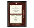 University of South Carolina Diploma Frame (DSNT)