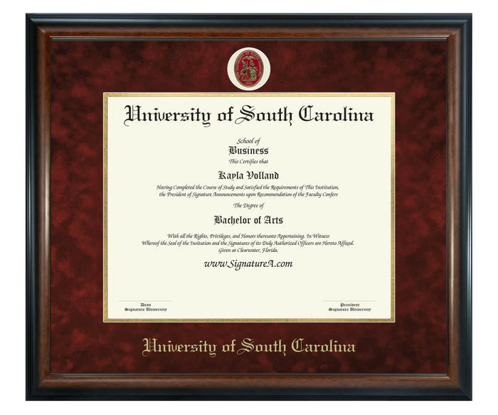 University of South Carolina Diploma Frame (SN)