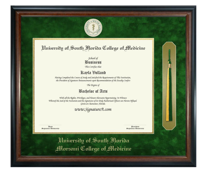 University of South Florida College of Medicine Diploma Frame (SNT)