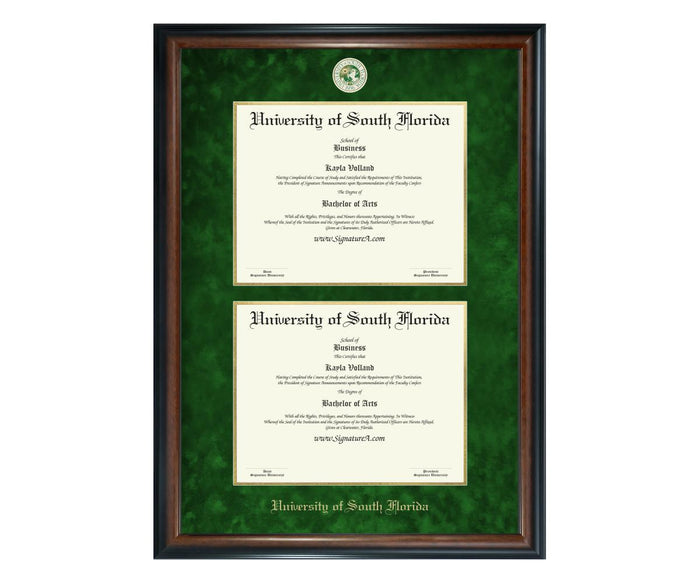 University of South Florida Diploma Frame (DSN)