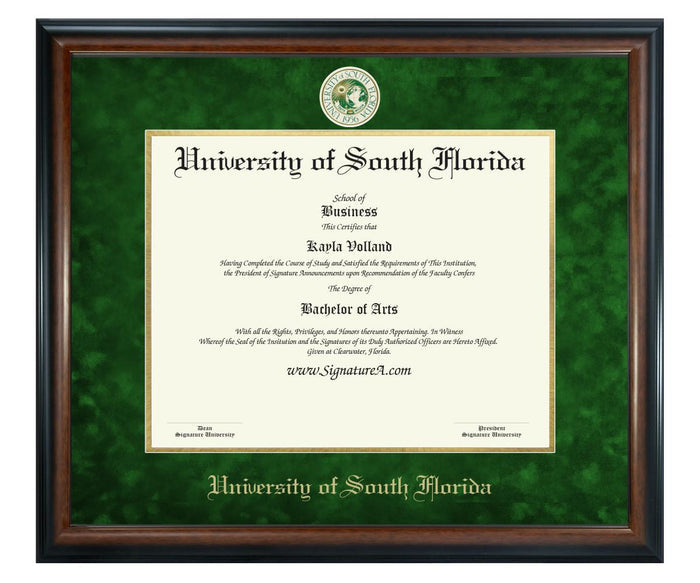 University of South Florida Diploma Frame (SN)