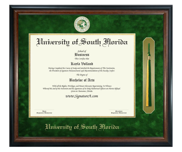 University of South Florida Diploma Frame (SNT)