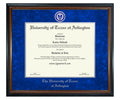 University of Texas at Arlington Diploma Frame (SN)