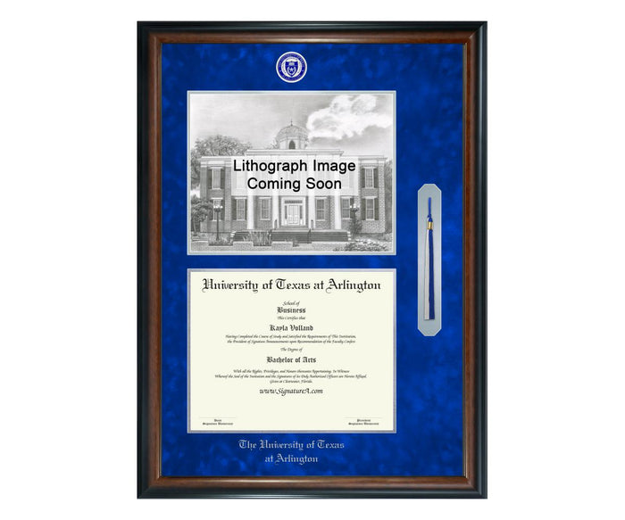 University of Texas at Arlington Diploma Frame (SNTL)