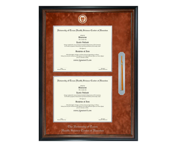 University of Texas Health Science Center at Houston Diploma Frame (DSNT)