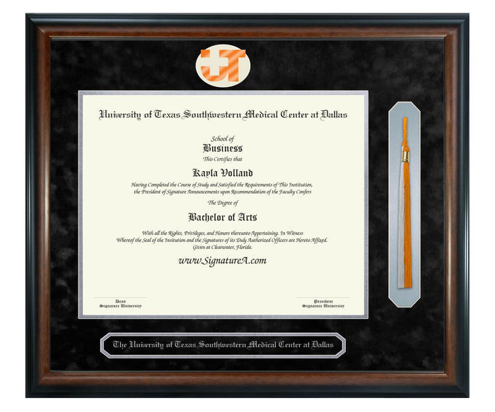 University of Texas Southwestern Medical Center at Dallas Diploma Frame (SNT)