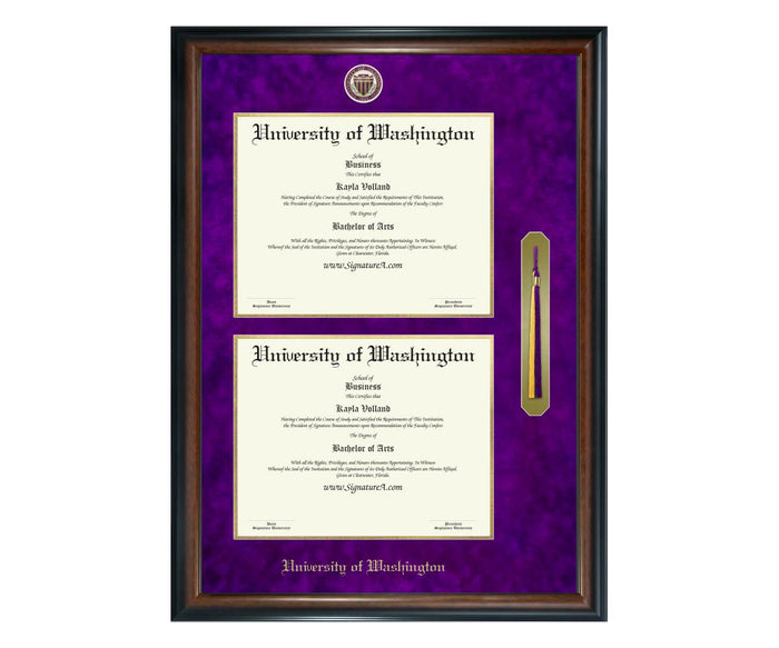 University of Washington Diploma Frame (DSNT)