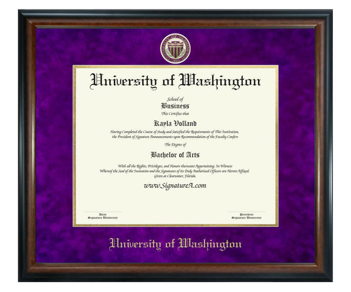 University of Washington Diploma Frame (SN)