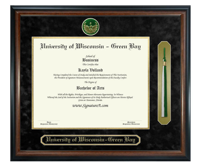 University of Wisconsin - Green Bay Diploma Frame (SNT)
