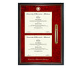 University of Wisconsin - Madison Diploma Frame (DSNT)