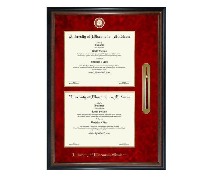 University of Wisconsin - Madison Diploma Frame (DSNT)