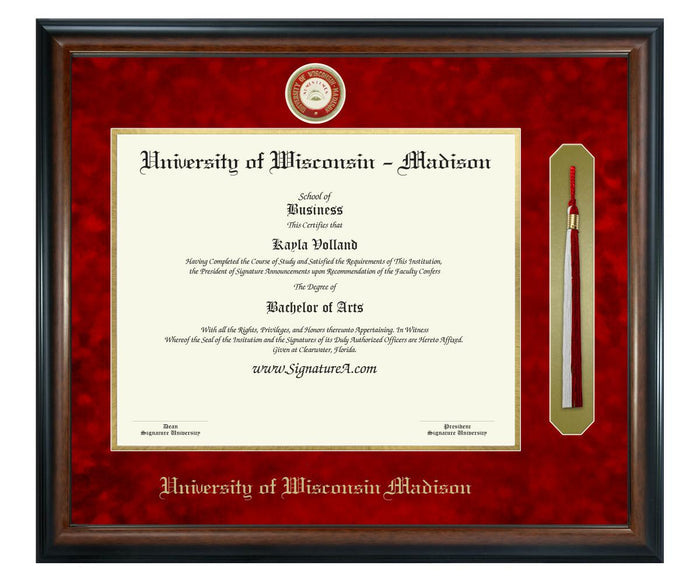 University of Wisconsin - Madison Diploma Frame (SNT)