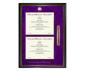 University of Wisconsin - Stevens Point Diploma Frame (DSNT)