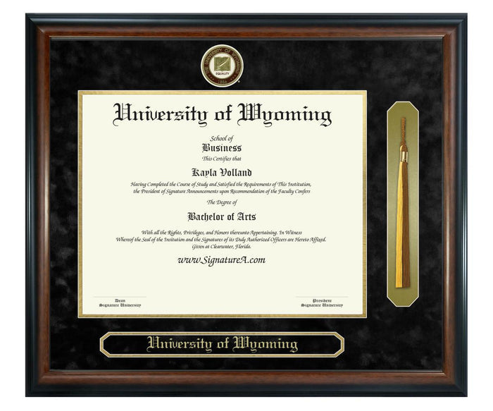 University of Wyoming Diploma Frame (SNT)