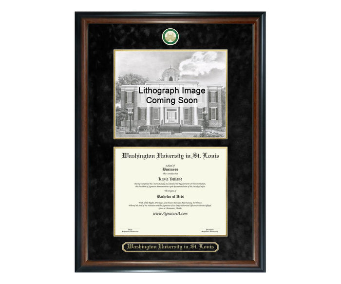 Washington University in St. Louis Diploma Frame (SNL)