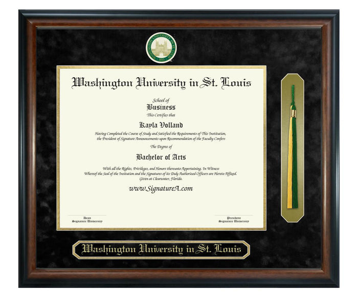 Washington University in St. Louis Diploma Frame (SNT)