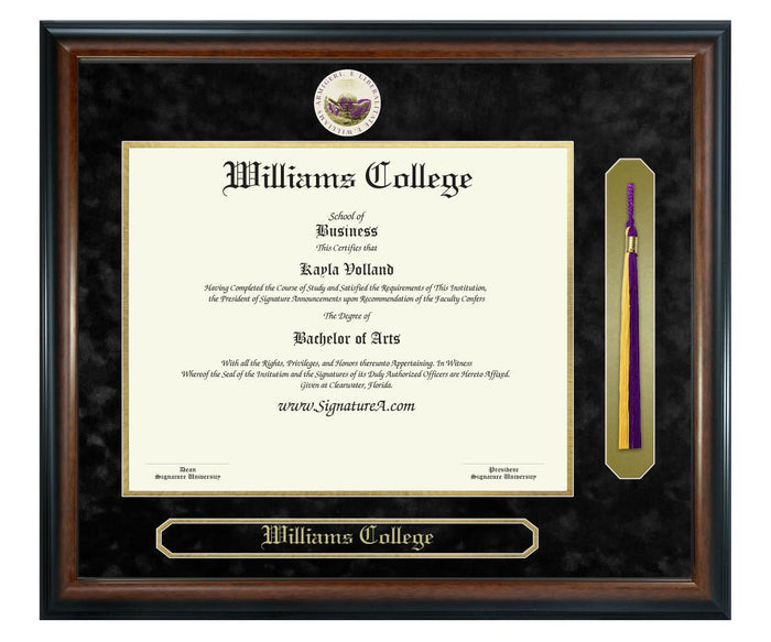 Williams College Diploma Frame (SNT)