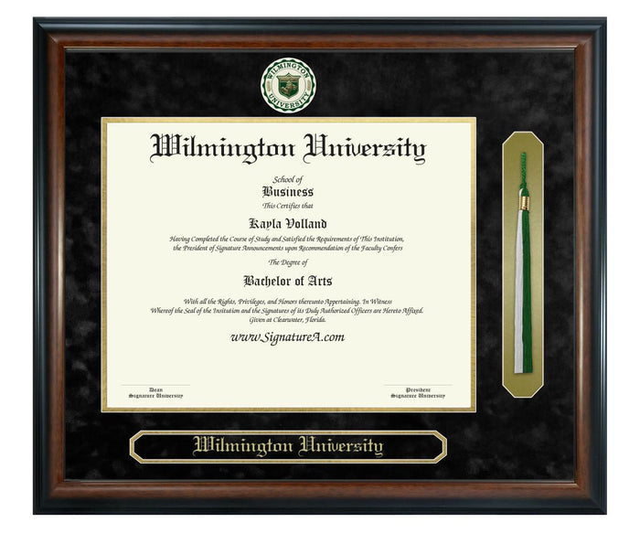 Wilmington University Diploma Frame (SNT)