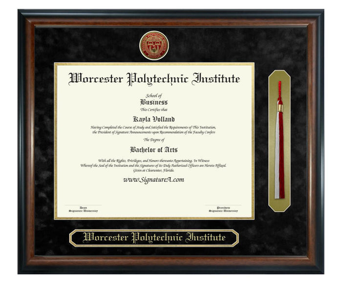 Worcester Polytechnic Institute Diploma Frame (SNT)